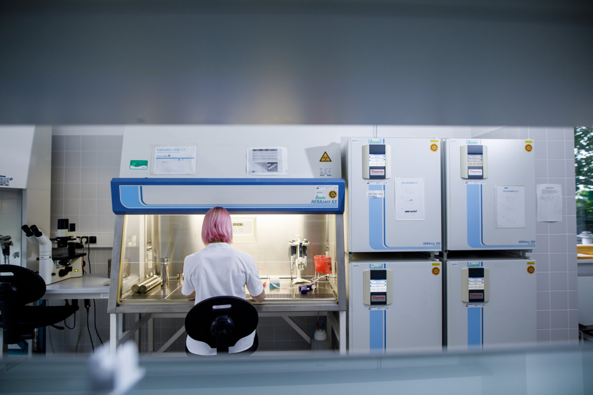 Nové poznatky o vztahu mezi proteiny p53 a PD-L1 v boji proti rakovině